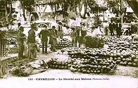 Le marché aux melons à Cavaillon au début du XXe&nbsp;siècle
