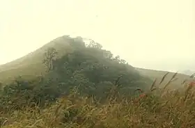 Santos Michelena (municipalité)