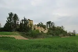 Les restes du château au début du XXIe&nbsp;siècle - Vue d'ensemble.