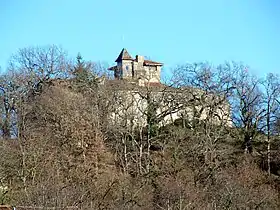 Image illustrative de l’article Château de Montégut-en-Couserans