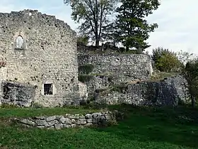Image illustrative de l’article Château de Montfort (Crolles)