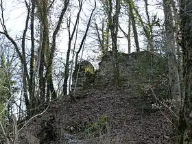 Image illustrative de l’article Château de Rougemont (Ain)