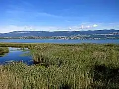 Panorama sur le lac.