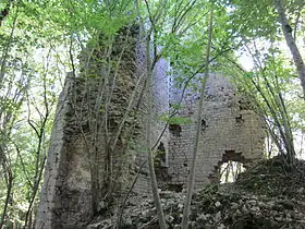 Ruines du château de Vaite
