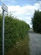 Chaussée Brunehaut. Rue Brunehaut à Donstiennes, commune de Thuin.