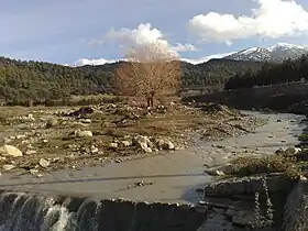 La forêt de Bouhmama (Chélia), Aurès.