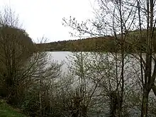 Vue d'un grand plan d'eau derrière un rideau d'arbres.