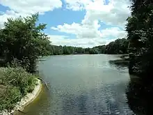 Photographie en couleurs d'un plan d'eau entouré d'arbustes.