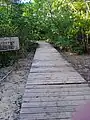 Chemin aménagé de l'îlet Macou.