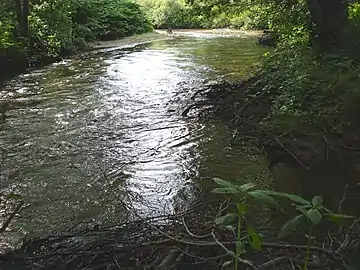 Chemins de l'Astrée, Le Lignon du Forez