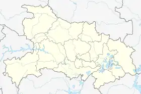 (Voir situation sur carte : Hubei)