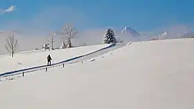 Vue aérienne de la station.