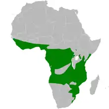 carte de répartition de Chlorocichla