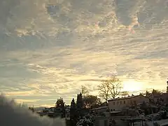 Cirrocumulus lacunosus