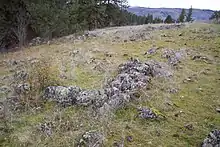 Prairie rocailleuse bordée d'une forêt où sont entassées des pierres sous la forme d'arcs de cercle.
