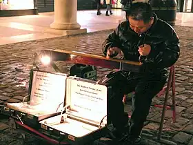 Image illustrative de l’article Dixianqin