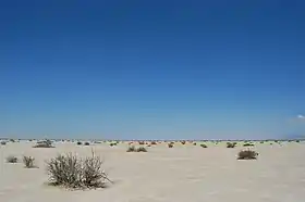 Image illustrative de l’article Laguna de Mayrán