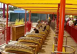 Cobra à Six Flags Marine World