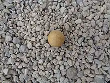 Cochonnet pour la pétanque