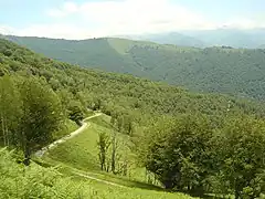 Vue sur la route dans le dernier kilomètre à découvert, avec des champs de fougères. Plus loin au centre-gauche La Ruère et ses prairies (1&nbsp;326&nbsp;m).