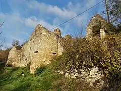 Les ruines du château.