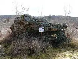Dolmen de Peyrelevade