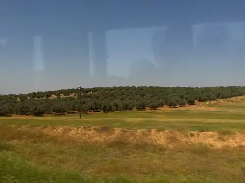 Frontière entre la Jordanie et la Syrie en mai 2010.