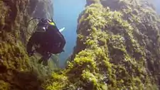 Au milieu des canyons de Coral Garden