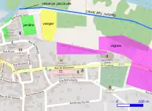 Représentation l'emprise de vignes, jardins et vergers reportés sur un plan.