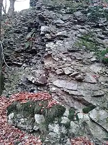 Poudingue de Fépin au lieu-dit de la Roche aux Corpias.