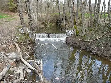Le Coulon (branche-mère de la Haute Loue) en amont de l'étang de Rouffiac