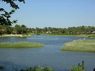 Le pré salé du courant de Mimizan.