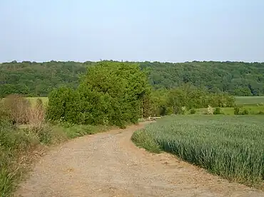La chaussée Jules César à Courcelles.
