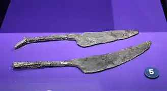 Couteaux sacrificiels, mithréum de Mandelieu-La Napoule, IIIe – IVe&nbsp;siècle. Musée archéologique de Nice-Cimiez.