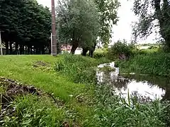 La Maye à Caumartin.