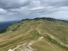 Le crêt de la Neige.