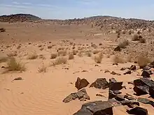 Vue sur du sable, des cailloux sombres sur la droite de la photo, de la végétation sèche et l'horizon au loin.