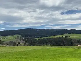 Vue du crêt de Chaussitre depuis Saint-Genest-Malifaux.