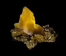 Monocrital de 5&nbsp;cm à Touissit (Maroc)