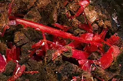 Image illustrative de l’article Crocoïte