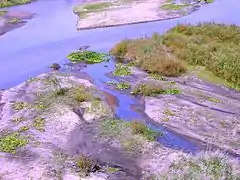 Crocodile river, Malelane