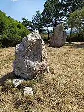 Les deux menhirs alignés