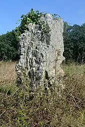 Menhir de Kerzuélet