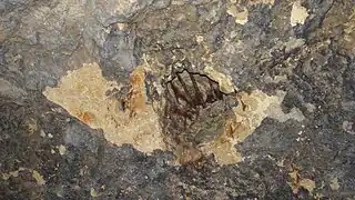 Cheminée d'évacuation des fumées.