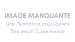 Image illustrative de l’article Jean-Jacques Bourdin