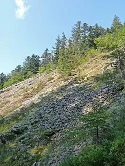 Image illustrative de l’article Forêt domaniale de Haute-Meurthe