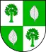 Blason de Buchholz