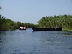 Un bras du Danube dans son delta, avec une lotca traditionnelle.