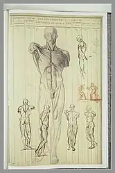 Etudes d’écorchés avec deux hommes luttant, d'Eugène Delacroix