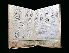 La « Page de Causse » et la « Page de la femme&nbsp;».